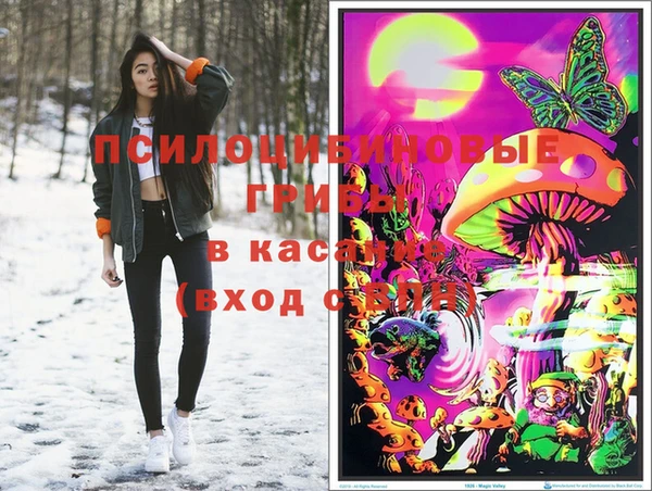гидра Армянск