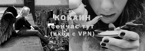спайс Аркадак